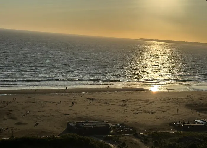 Les Echappees Belles De L\'Ocean