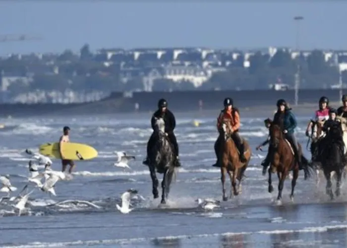 Les Echappees Belles De L\'Ocean