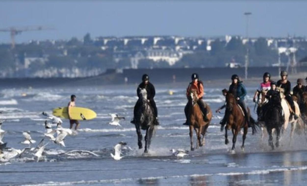 Les Echappees Belles De L'ocean * Le Pointeau